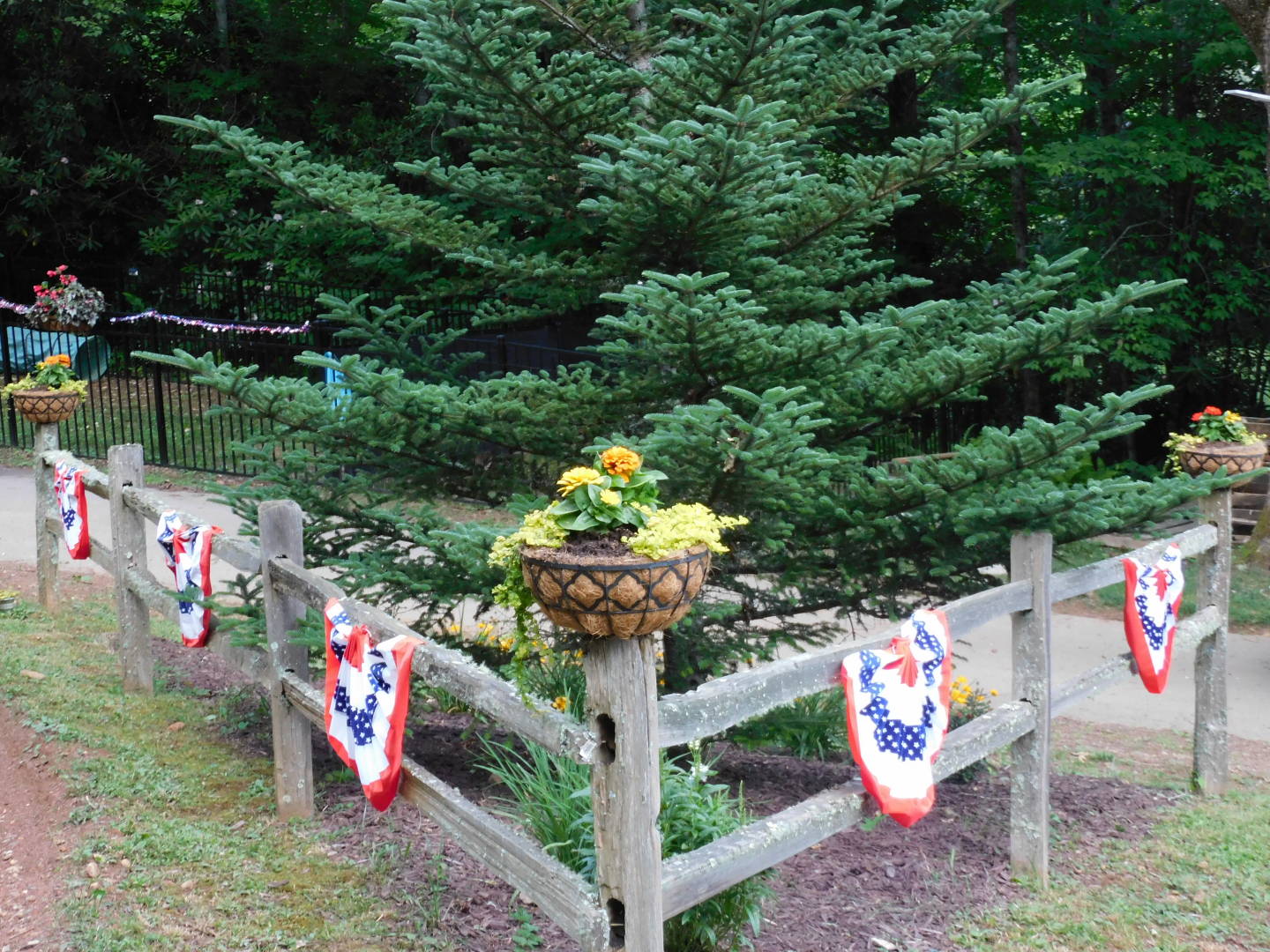 DSCN8518.JPG